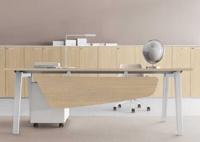ufficio direzionale eplace